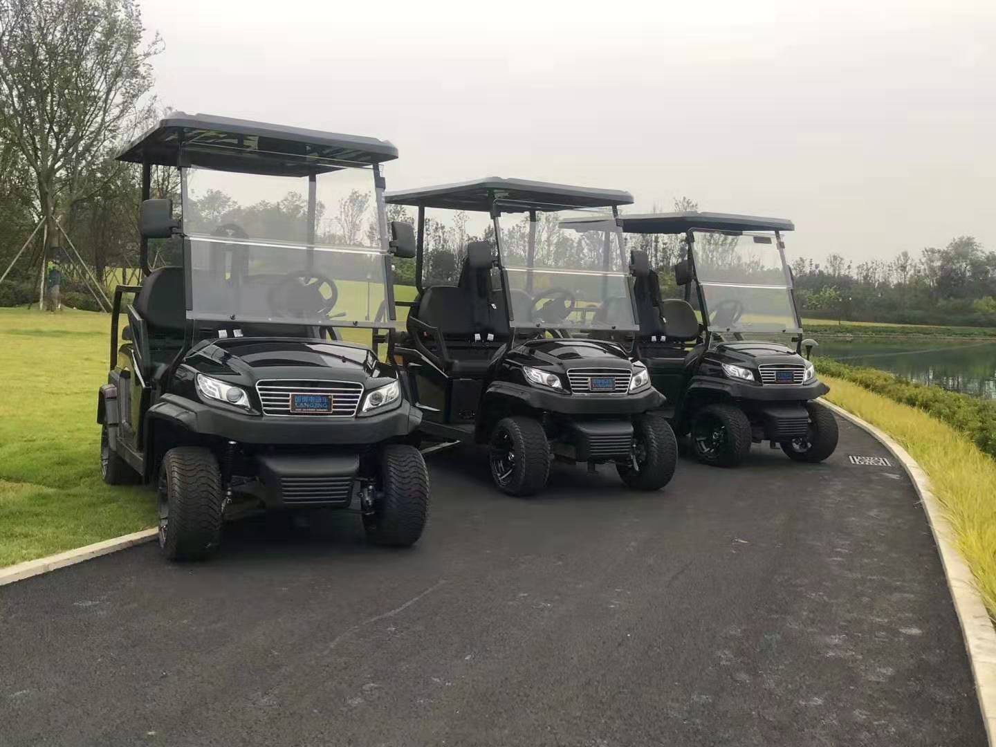 2座安卓手机怎么下载麻豆高尔夫球车(M1S2)